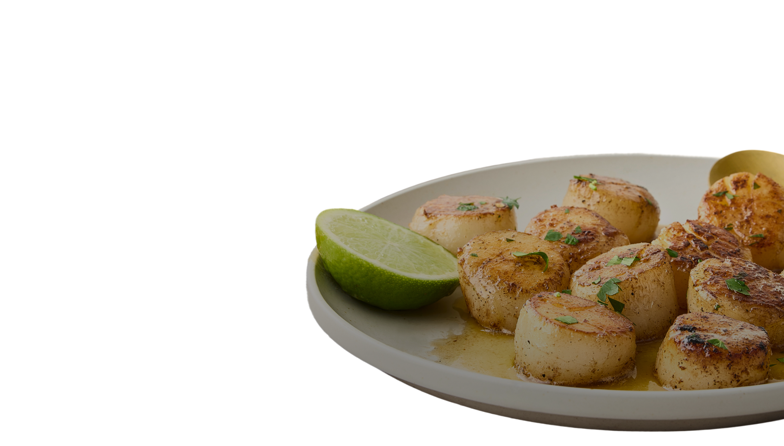 Seared scallops with lime on a plate, garnished with herbs. Delicious seafood dish.