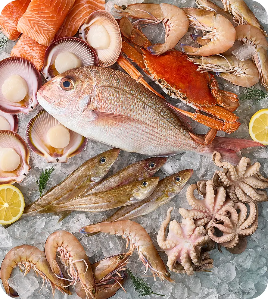 Seafood
